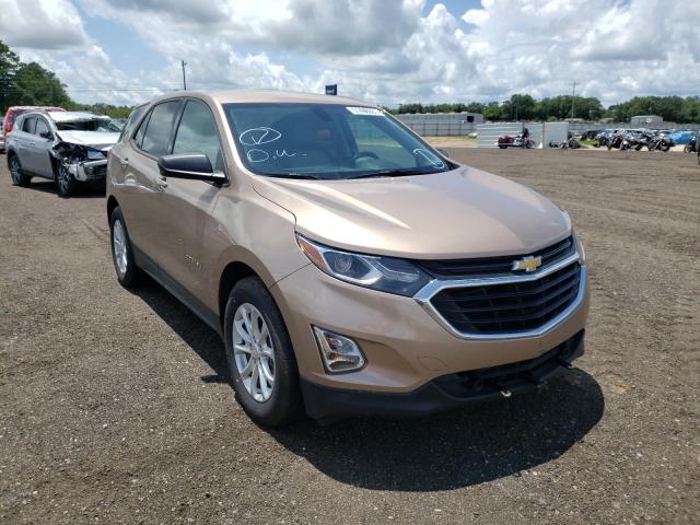 CHEVROLET EQUINOX LS 2019 2gnaxhev9k6252186