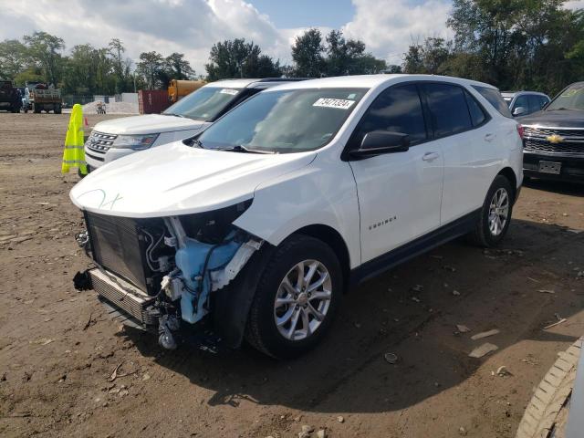 CHEVROLET EQUINOX LS 2019 2gnaxhevxk6133028