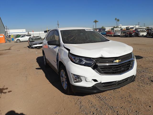 CHEVROLET EQUINOX LS 2019 2gnaxhevxk6143106