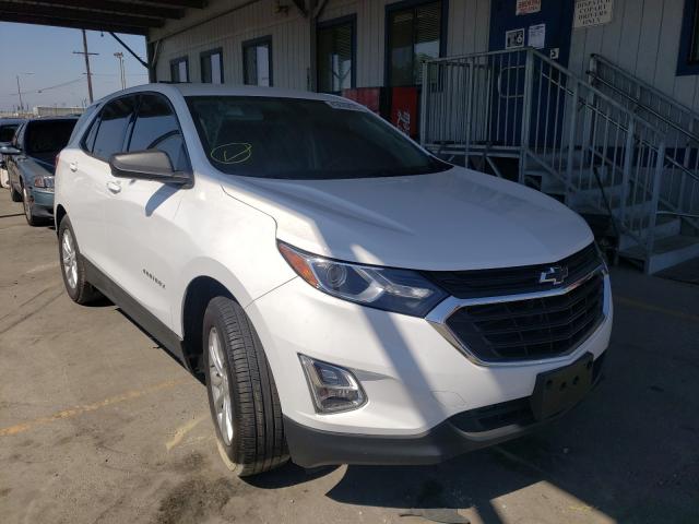 CHEVROLET EQUINOX LS 2019 2gnaxhevxk6203546