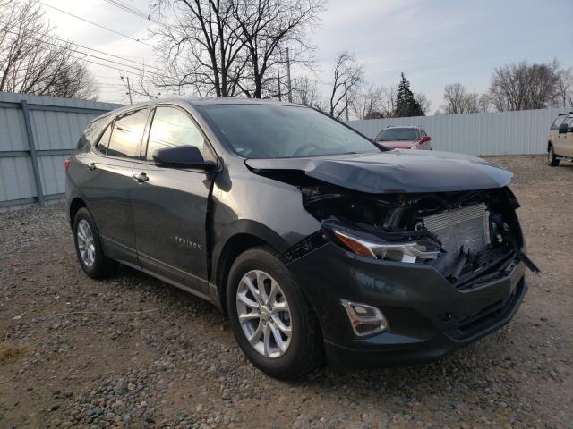 CHEVROLET EQUINOX LS 2019 2gnaxhevxk6267344