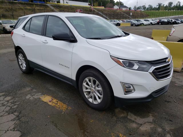 CHEVROLET EQUINOX LS 2020 2gnaxhevxl6173403