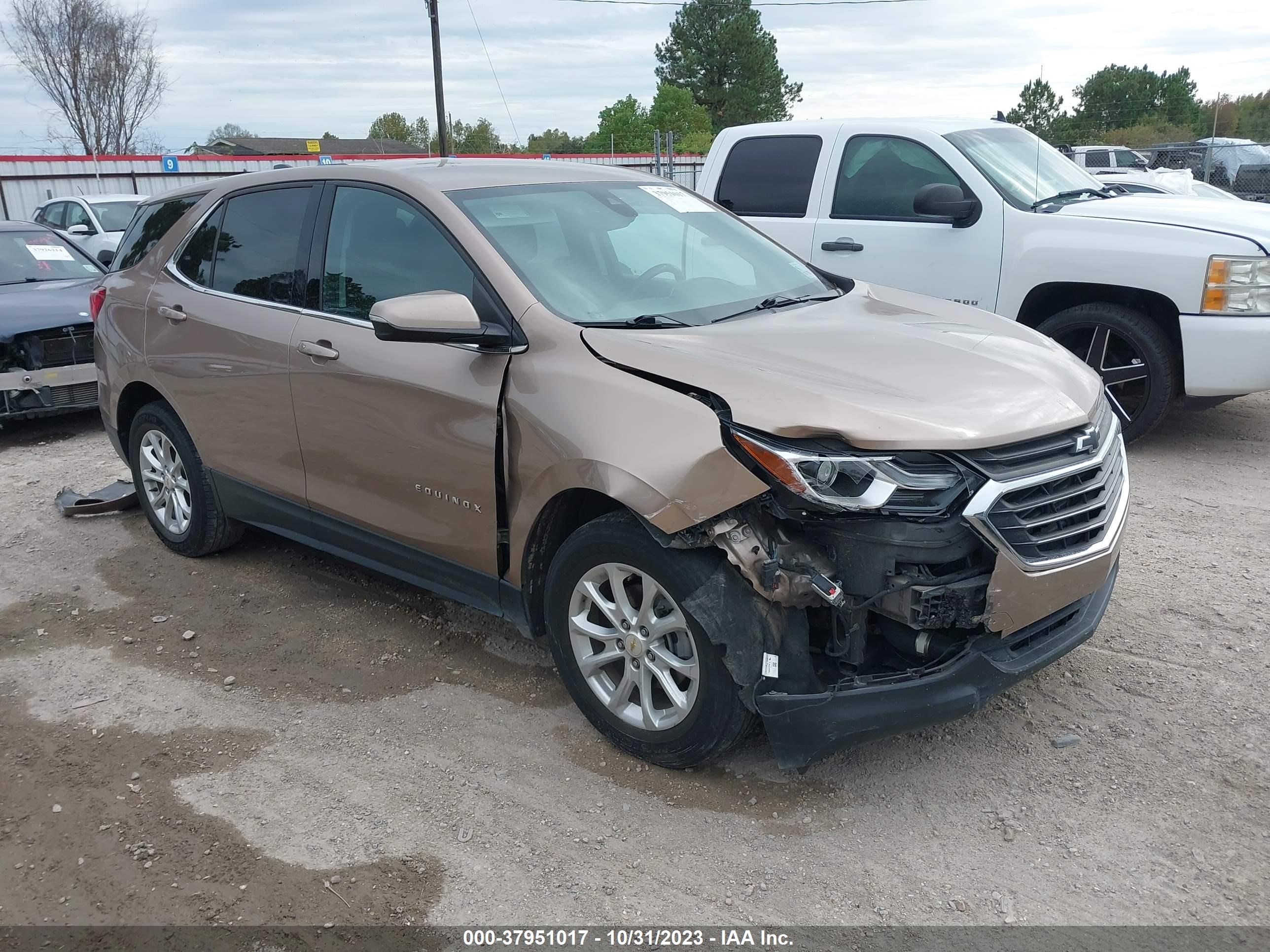 CHEVROLET EQUINOX 2019 2gnaxjev6k6285752