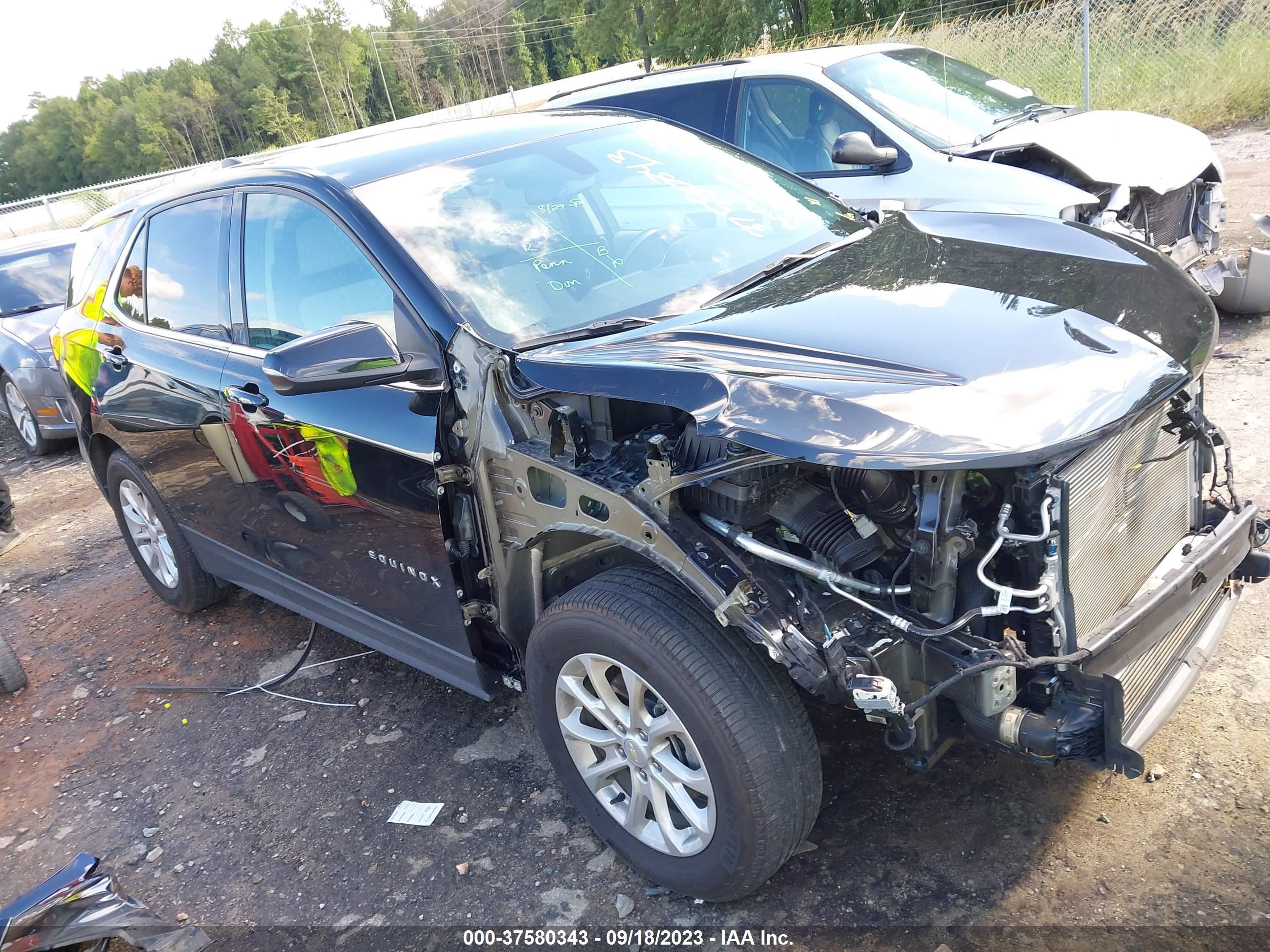 CHEVROLET EQUINOX 2019 2gnaxkev2k6191163