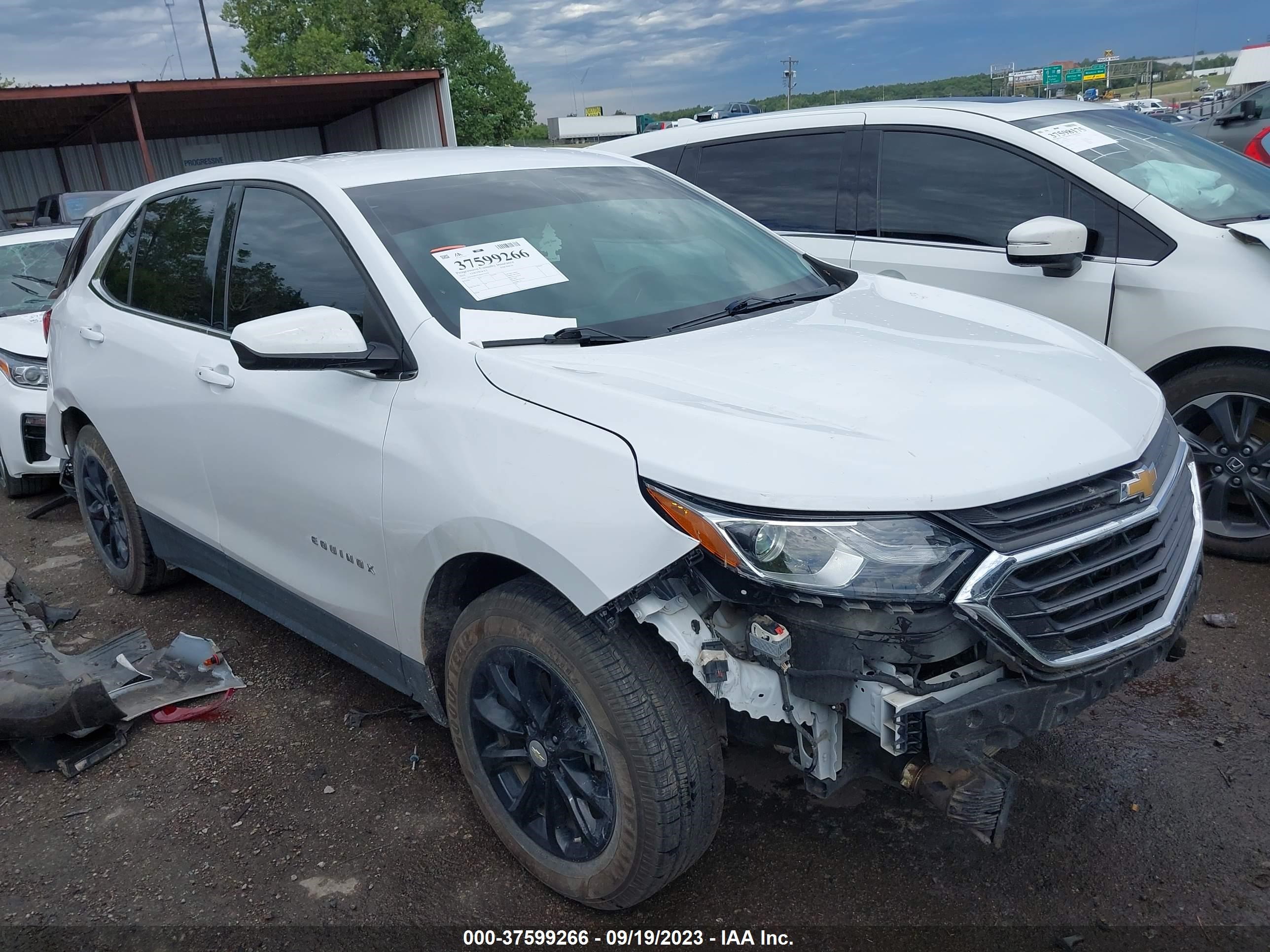 CHEVROLET EQUINOX 2019 2gnaxkev4k6171478