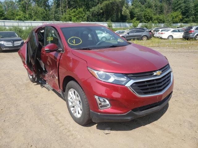 CHEVROLET EQUINOX LS 2019 2gnaxkev5k6120300