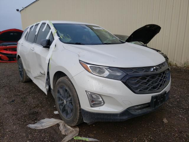 CHEVROLET EQUINOX 2019 2gnaxkev6k6299639