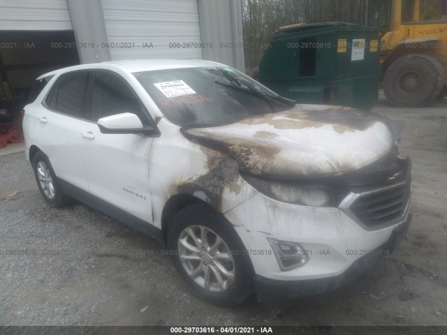 CHEVROLET EQUINOX 2019 2gnaxkev9k6233411