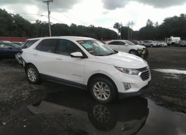 CHEVROLET EQUINOX 2019 2gnaxkevxk6224930