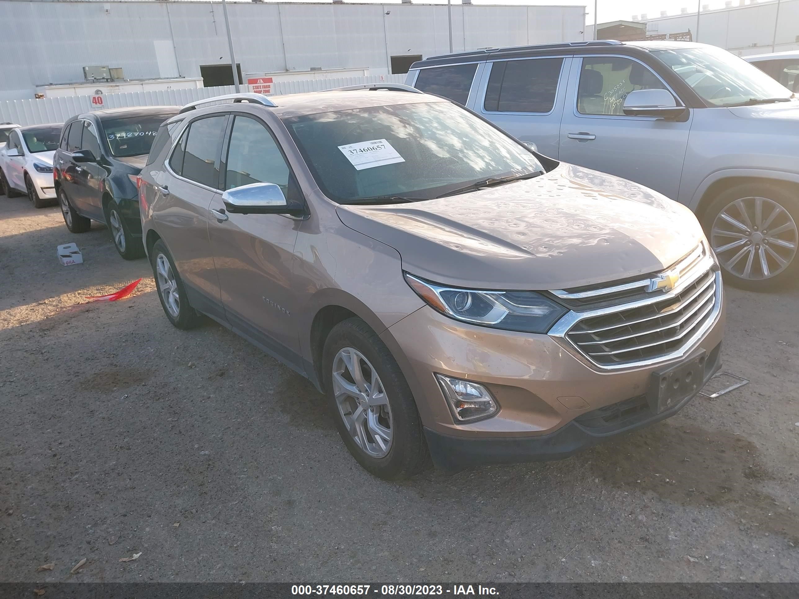 CHEVROLET EQUINOX 2019 2gnaxnev3k6230554