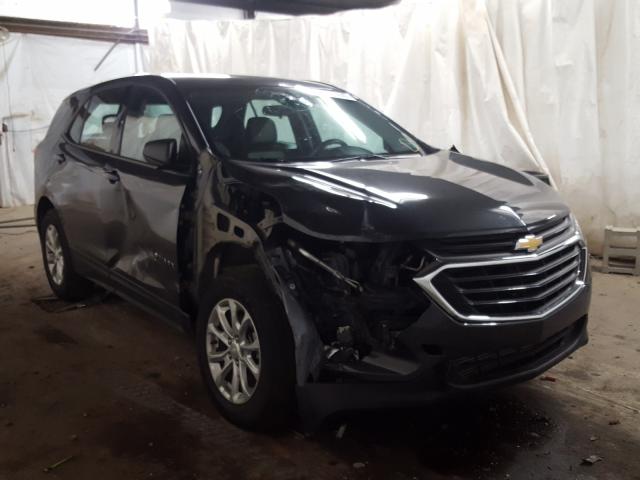 CHEVROLET EQUINOX LS 2018 2gnaxrev0j6133706