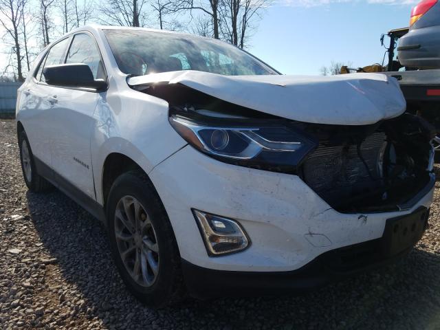 CHEVROLET EQUINOX LS 2018 2gnaxrev2j6133609