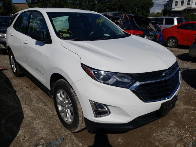 CHEVROLET EQUINOX LS 2018 2gnaxrev3j6299136