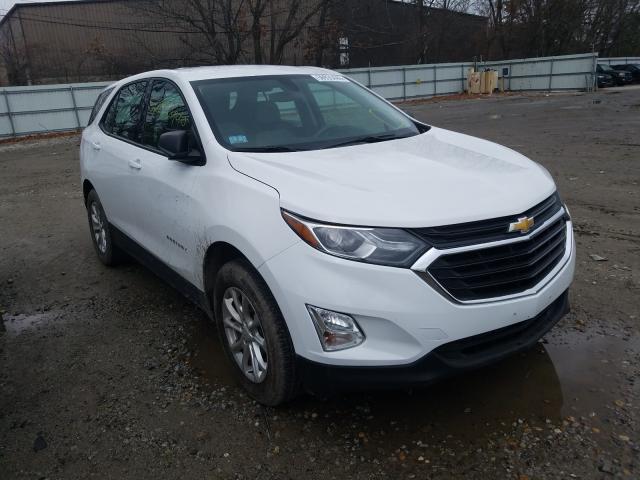 CHEVROLET EQUINOX LS 2018 2gnaxrev6j6125416