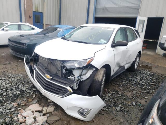 CHEVROLET EQUINOX LS 2019 2gnaxsev0k6111990