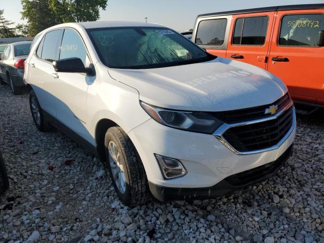 CHEVROLET EQUINOX LS 2019 2gnaxsev0k6156718