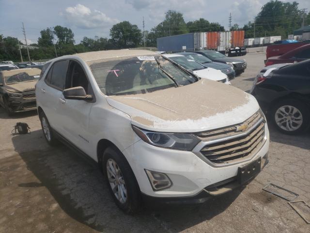 CHEVROLET EQUINOX LS 2019 2gnaxsev0k6220773