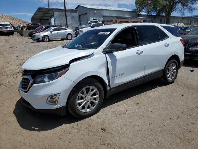 CHEVROLET EQUINOX LS 2019 2gnaxsev1k6100643