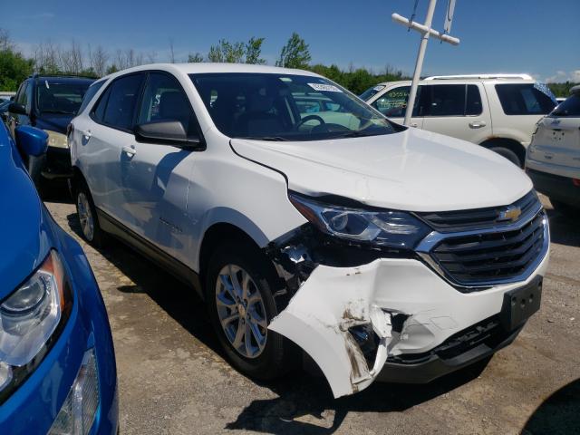 CHEVROLET EQUINOX LS 2019 2gnaxsev1k6105728