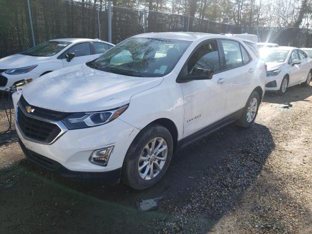 CHEVROLET EQUINOX LS 2019 2gnaxsev1k6113859