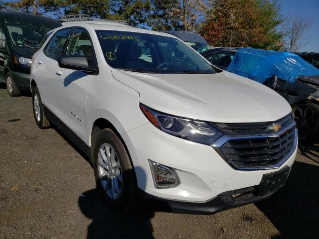 CHEVROLET EQUINOX LS 2019 2gnaxsev1k6201746