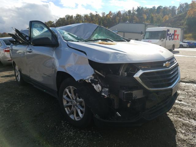 CHEVROLET EQUINOX LS 2019 2gnaxsev2k6115667