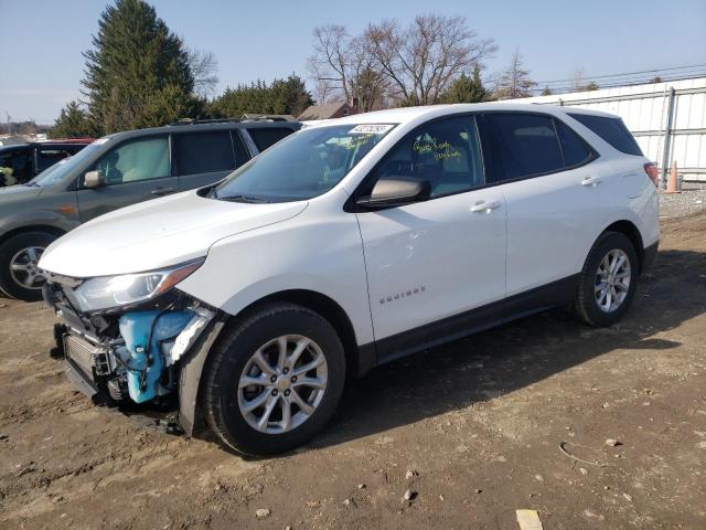 CHEVROLET EQUINOX LS 2019 2gnaxsev2k6123753