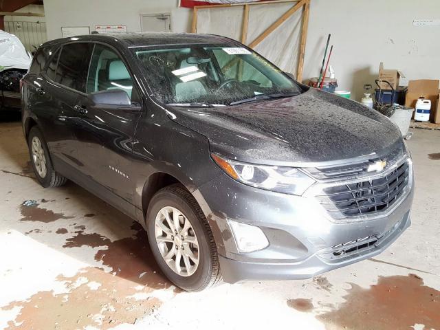 CHEVROLET EQUINOX LS 2019 2gnaxsev2k6158244