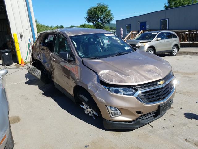 CHEVROLET EQUINOX LS 2019 2gnaxsev2k6183239