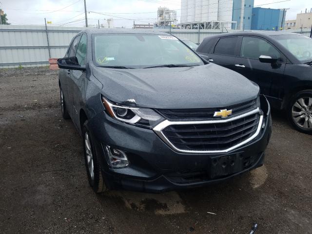 CHEVROLET EQUINOX LS 2019 2gnaxsev2k6297273