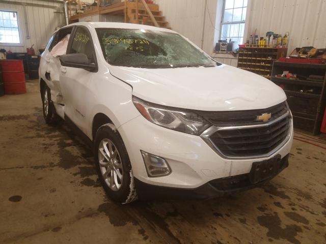 CHEVROLET EQUINOX LS 2020 2gnaxsev3l6133662