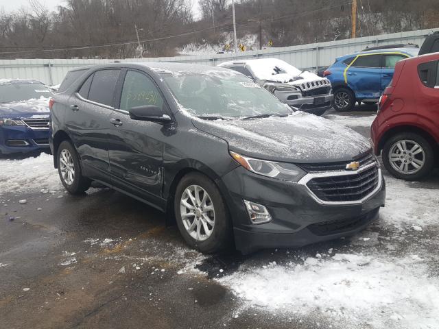 CHEVROLET EQUINOX LS 2019 2gnaxsev4k6248821