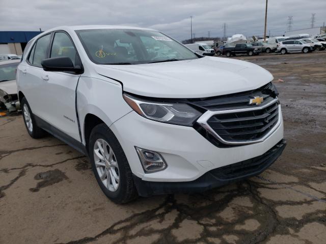 CHEVROLET EQUINOX LS 2019 2gnaxsev4k6250522