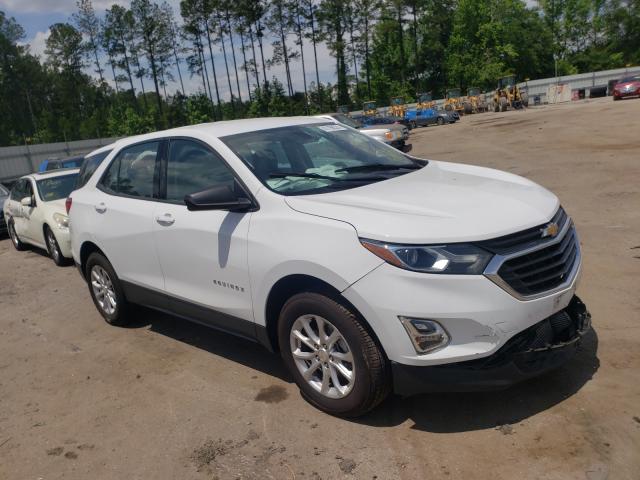 CHEVROLET EQUINOX LS 2019 2gnaxsev5k6111662