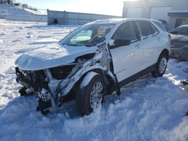 CHEVROLET EQUINOX LS 2019 2gnaxsev5k6136979