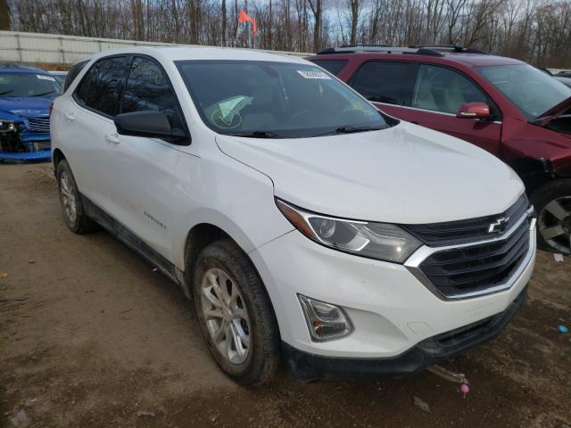 CHEVROLET EQUINOX LS 2019 2gnaxsev5k6231302