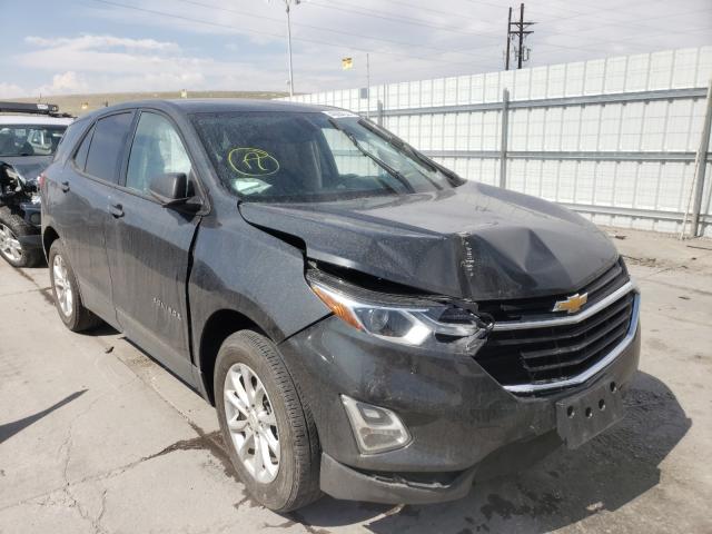 CHEVROLET EQUINOX LS 2019 2gnaxsev6k6250618