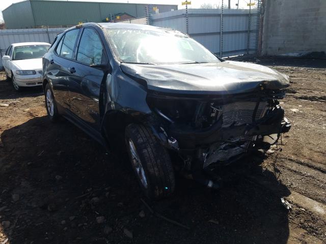 CHEVROLET EQUINOX LS 2019 2gnaxsev7k6103627