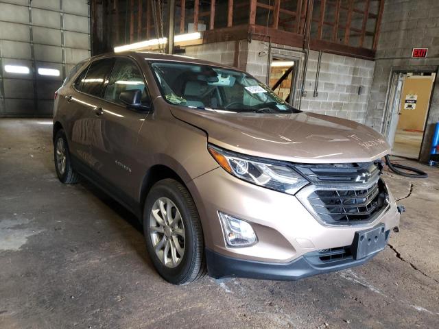 CHEVROLET EQUINOX LS 2019 2gnaxsev8k6152268