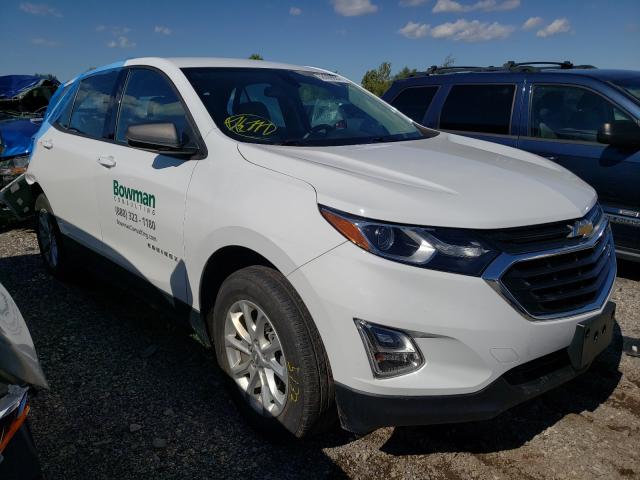 CHEVROLET EQUINOX LS 2019 2gnaxsev8k6201419