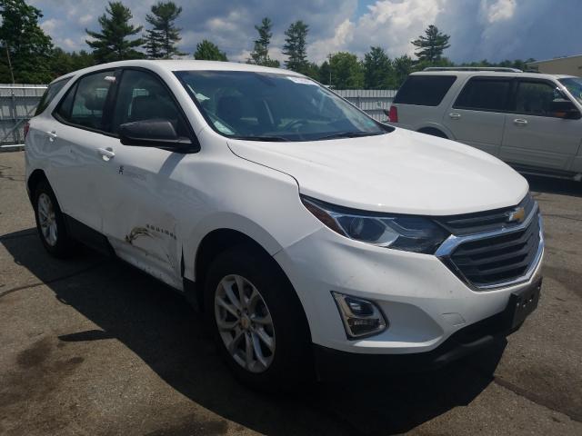 CHEVROLET EQUINOX LS 2019 2gnaxsev8k6212310