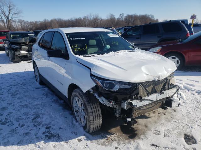 CHEVROLET EQUINOX LS 2019 2gnaxsev9k6118565