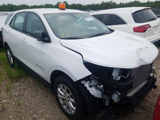 CHEVROLET EQUINOX LS 2019 2gnaxsev9k6165241