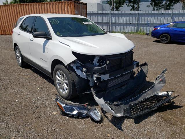 CHEVROLET EQUINOX LS 2019 2gnaxsev9k6259958