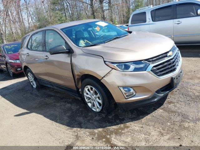 CHEVROLET EQUINOX 2019 2gnaxsevxk6172537