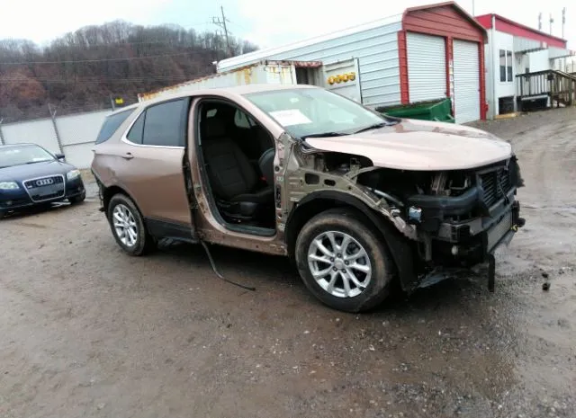 CHEVROLET EQUINOX 2019 2gnaxtev5k6202341