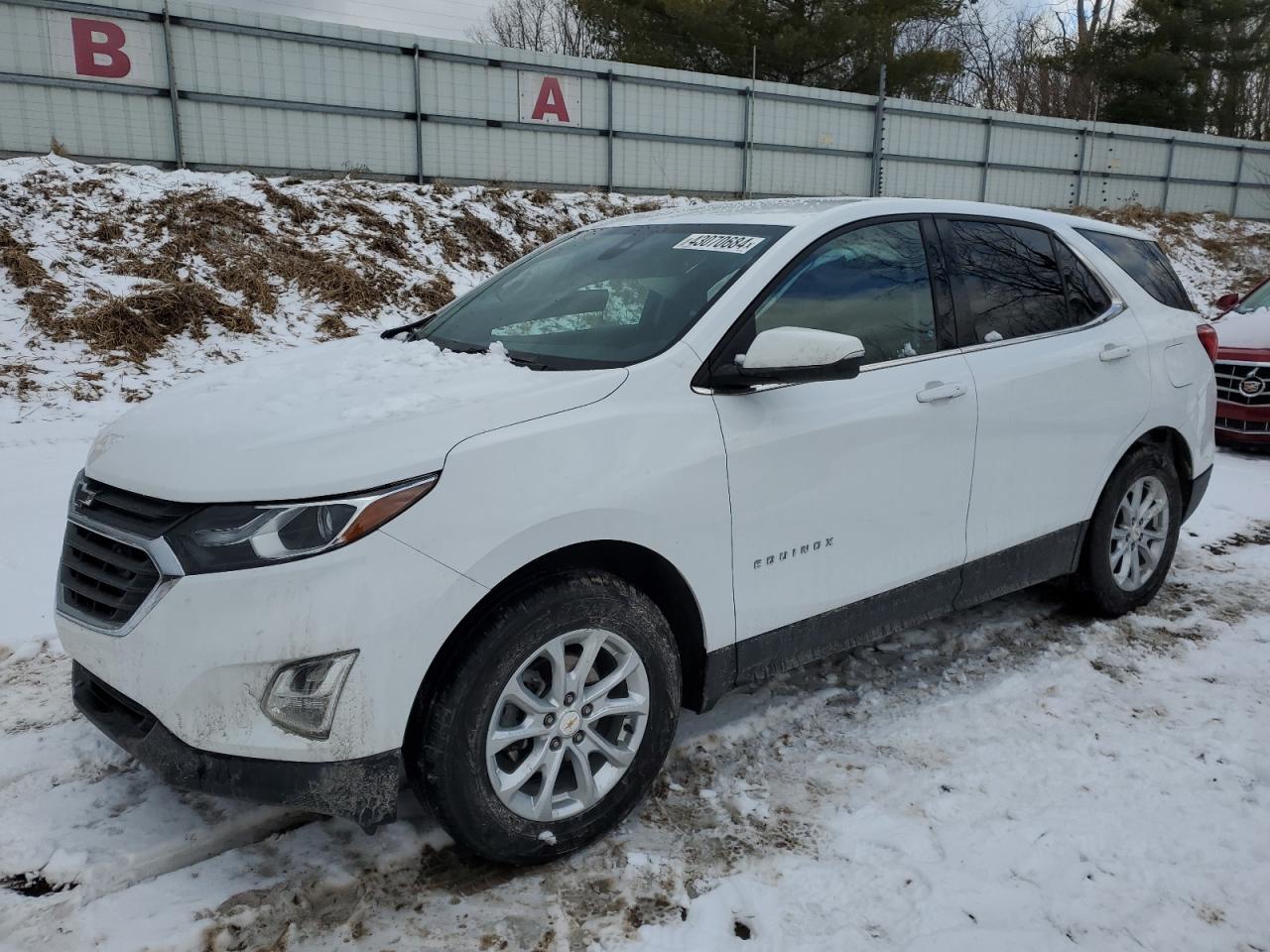 CHEVROLET EQUINOX 2019 2gnaxtevxk6236680