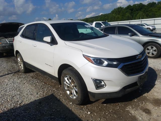 CHEVROLET EQUINOX LT 2019 2gnaxuev1k6215092