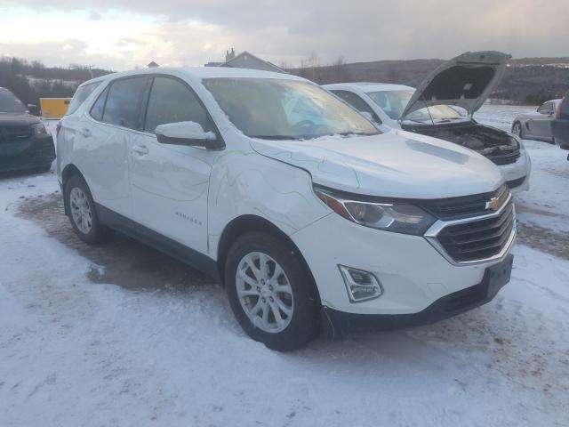 CHEVROLET EQUINOX LT 2019 2gnaxuev1k6244687