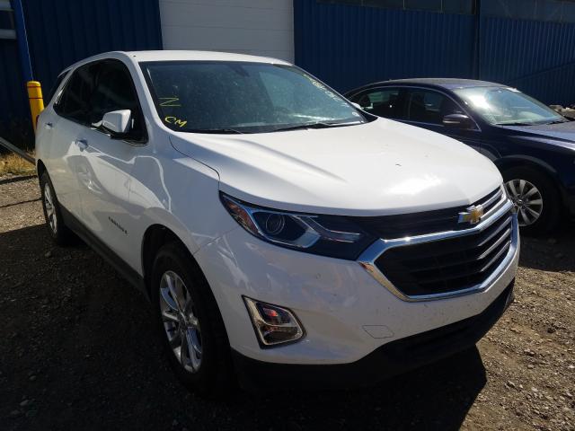 CHEVROLET EQUINOX LT 2019 2gnaxuev1k6303799